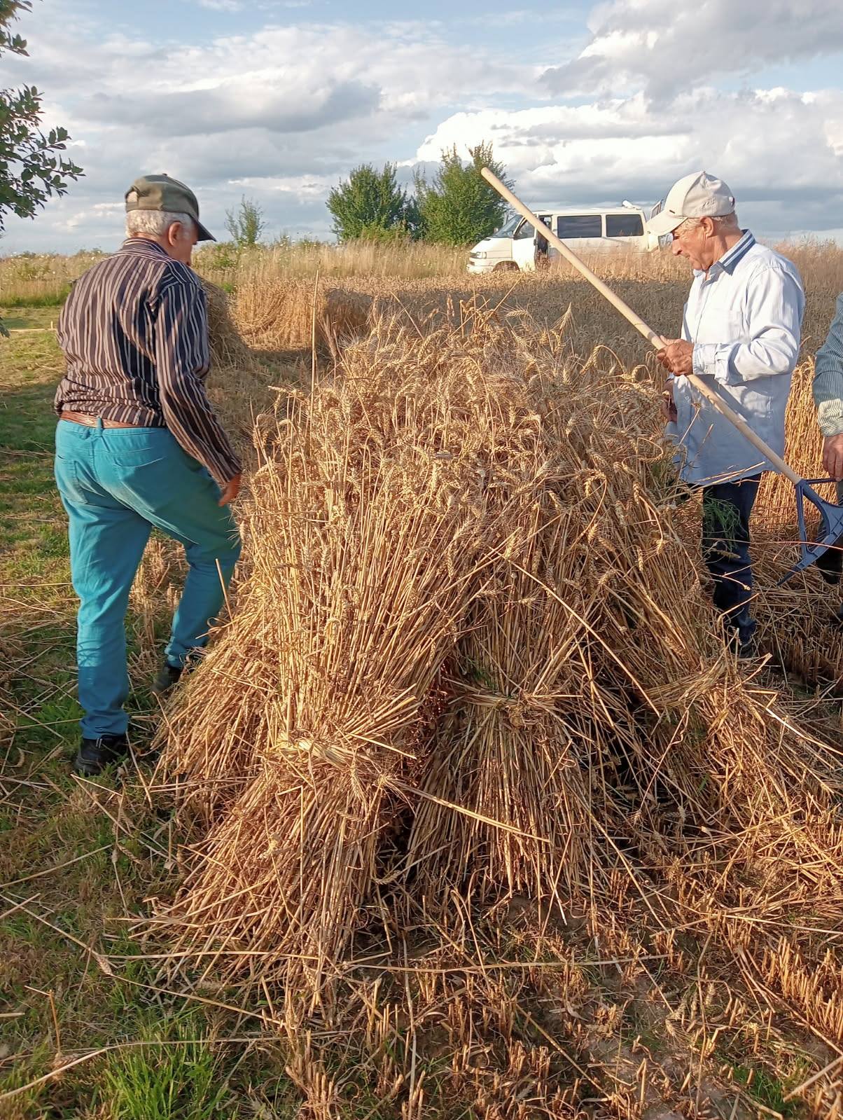 Zażynki w Rozięcinie 2025